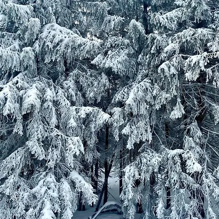 Apartamento Przy Stoku Pod Papugami 2 Karpatia