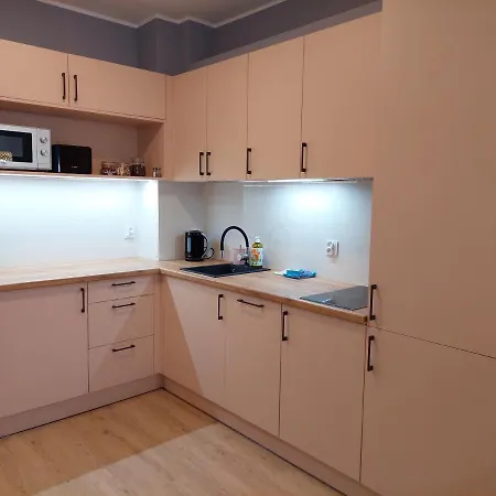 Przy Stoku Pod Papugami 2 Karpatia Apartment *