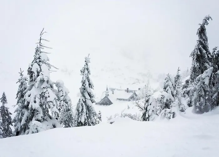 아파트 Przy Stoku Pod Papugami 2 Karpatia *