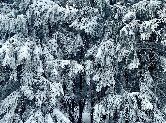 아파트 Przy Stoku Pod Papugami 2 Karpatia