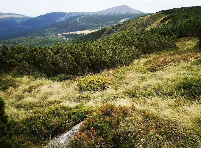 Przy Stoku Pod Papugami 2 Karpatia * 카르파츠