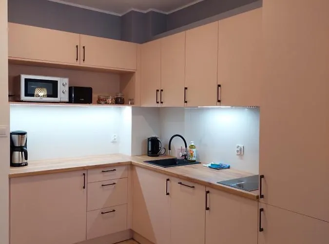 아파트 Przy Stoku Pod Papugami 2 Karpatia 카르파츠